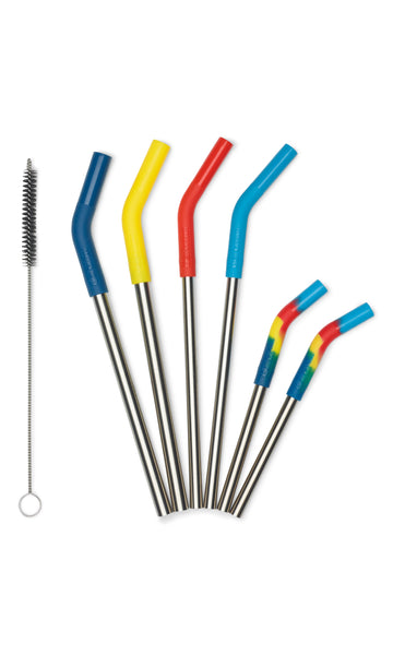 Combo Stainless Steel Straw 6 Pack