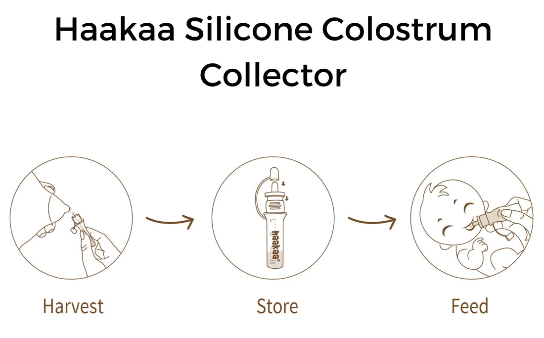 Haakaa Silicone Colostrum Collector 4ml - 2 pack – EcoBambino