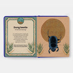 The Secret Powers Of Animals Board Book