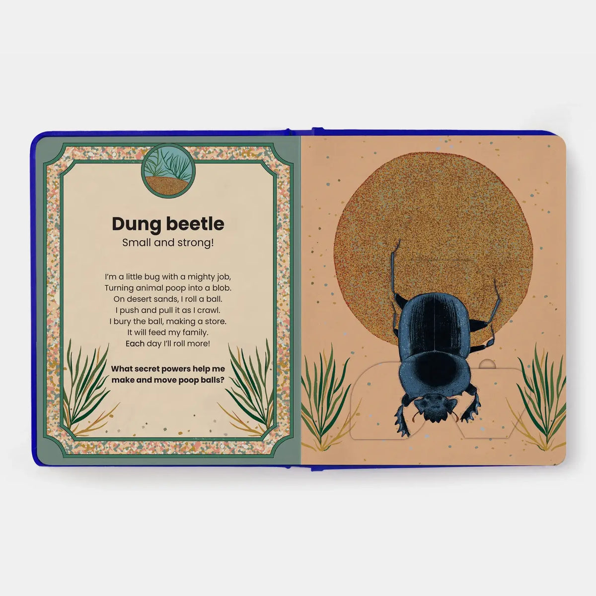 The Secret Powers Of Animals Board Book