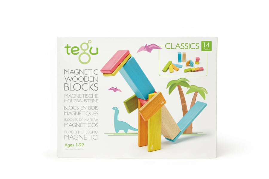 14 Piece Magnetic Wooden Block Set - Tints