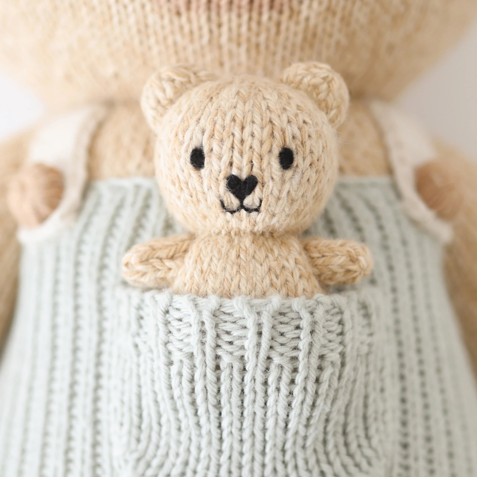 Alexander the Honey Bear