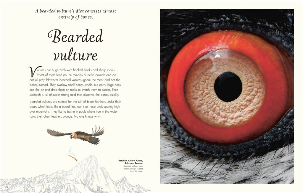 An Anthology of Birds