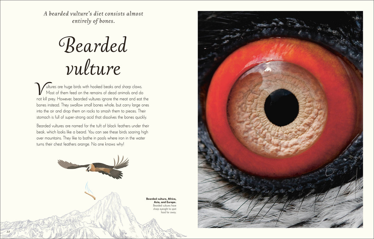 An Anthology of Birds