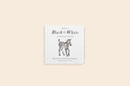 Baby's Black and White Contrast Board Book
