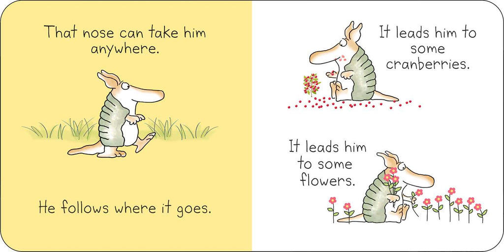 But Not the Armadillo Board Book