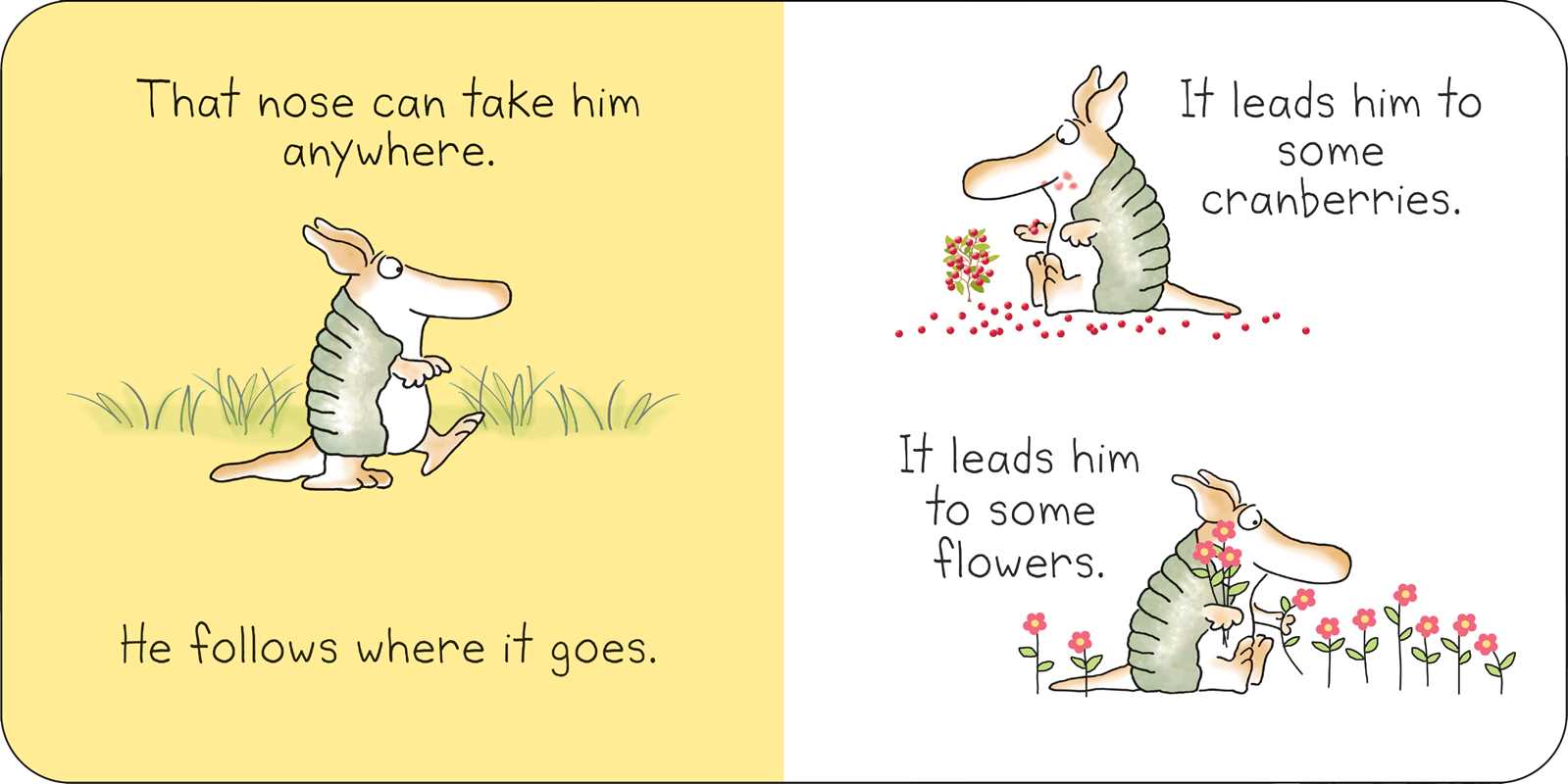 But Not the Armadillo Board Book