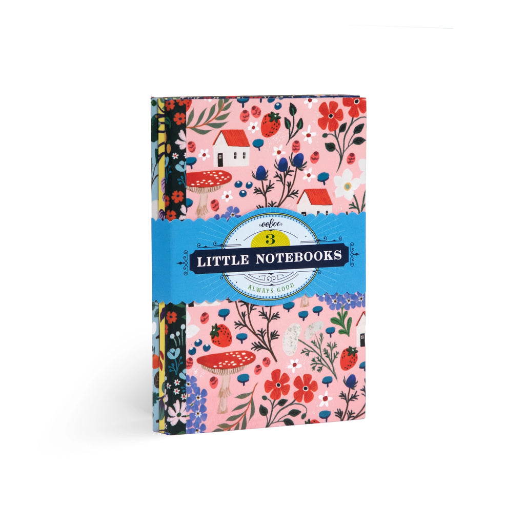 3 Little Notebook Set