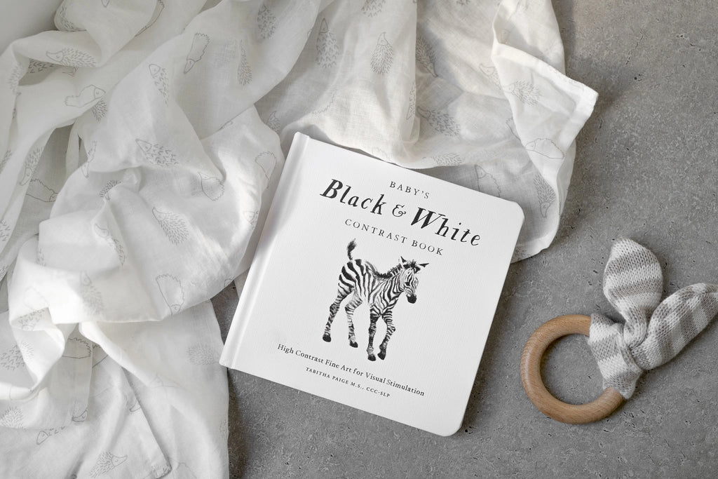 Baby's Black and White Contrast Board Book
