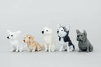 Little Felted Friends: Labrador Retriever Needle-Felting Kit