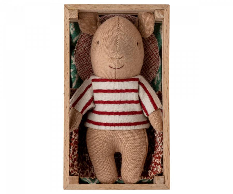 Baby Girl Pig In a Box