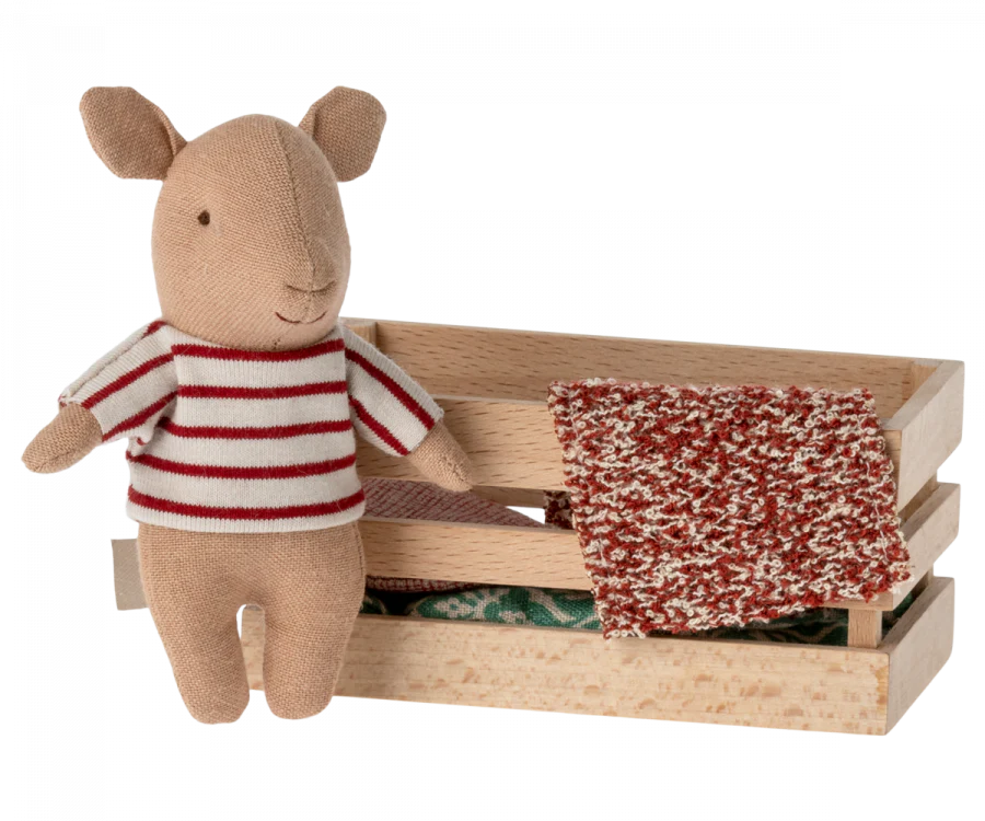 Baby Girl Pig In a Box