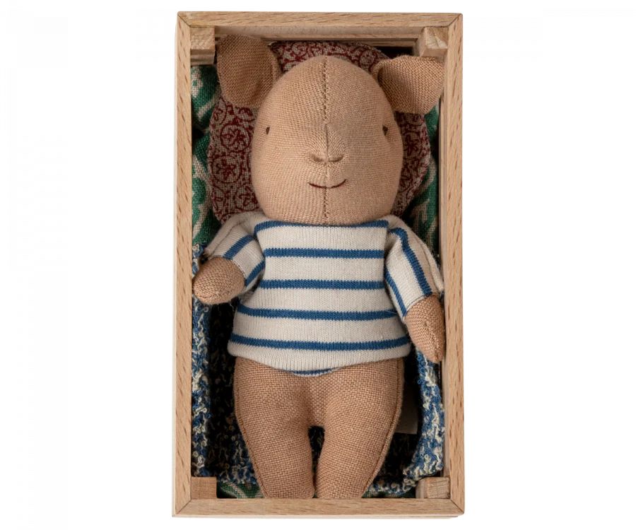 Baby Boy Pig In a Box