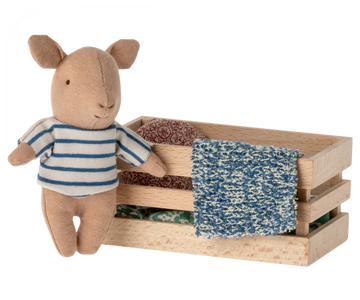 Baby Boy Pig In a Box
