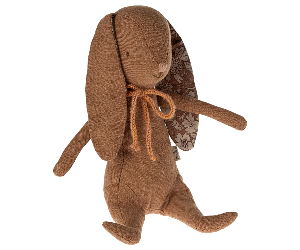 Chocolate Brown Bunny