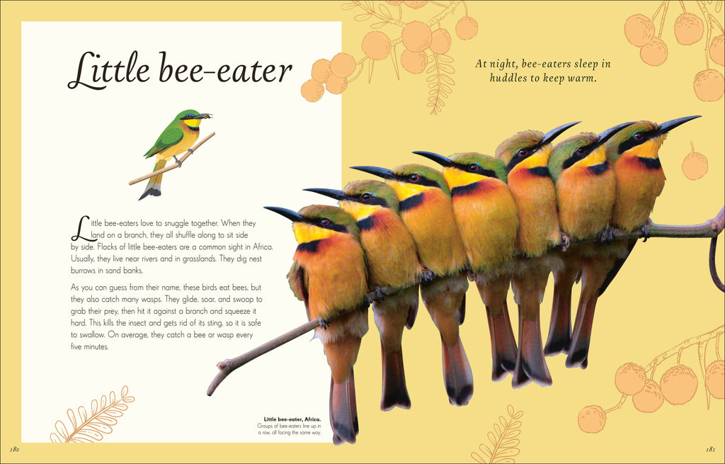 An Anthology of Birds