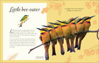 An Anthology of Birds