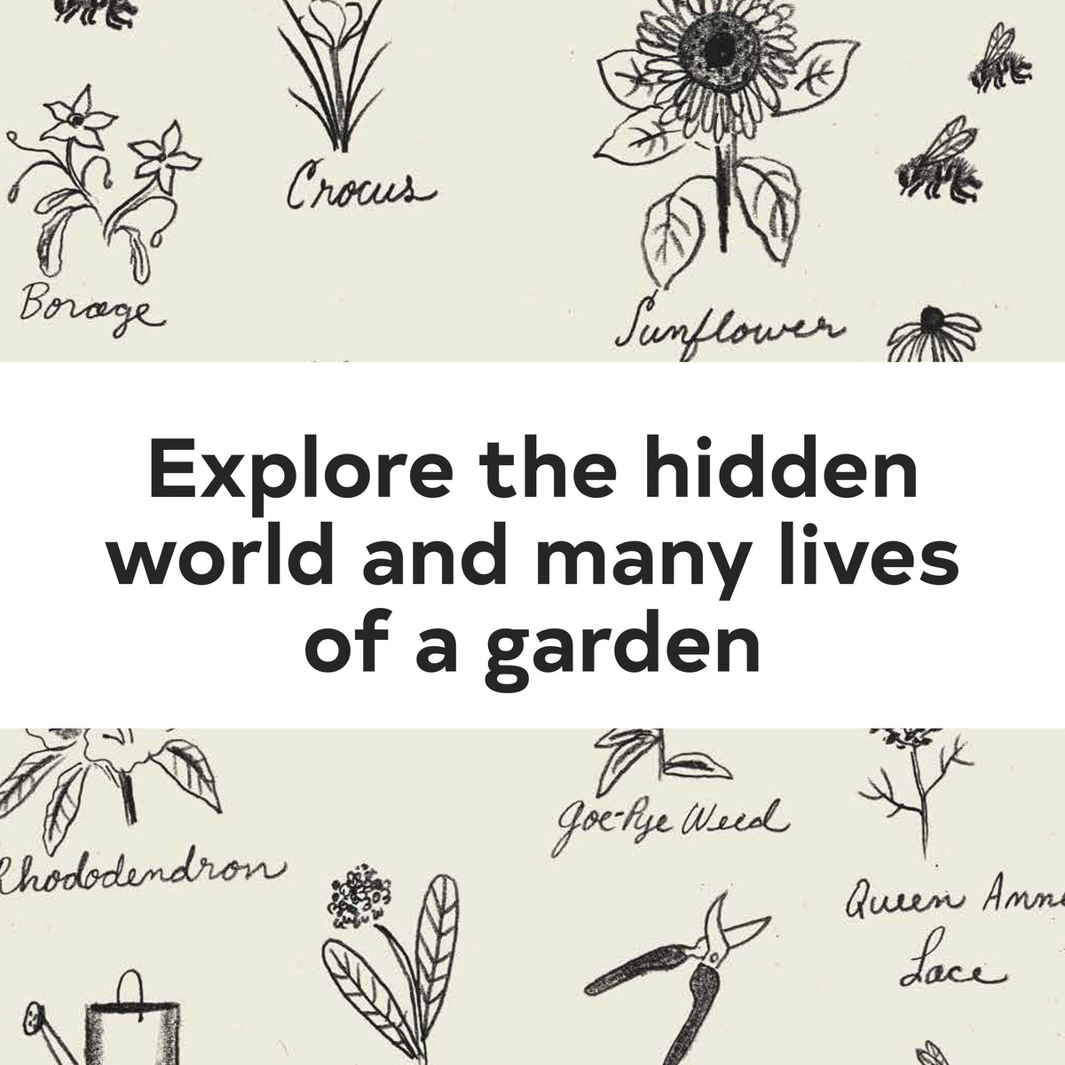 Up in the Garden and Down in the Dirt