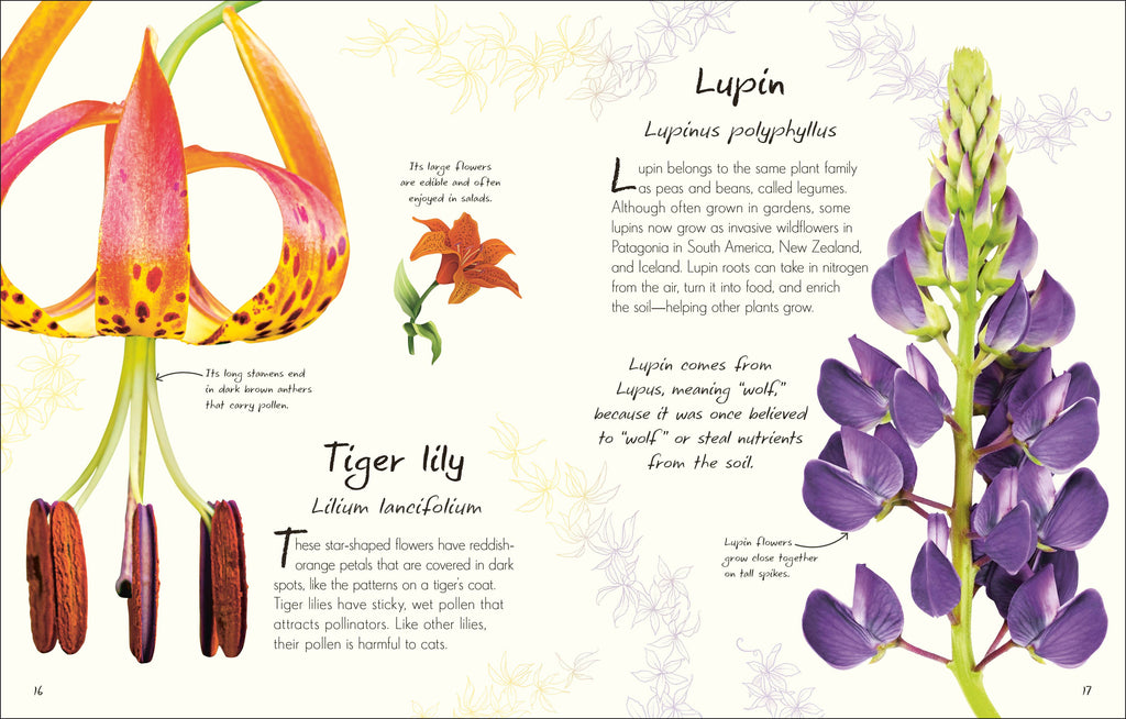 An Anthology of Flowers