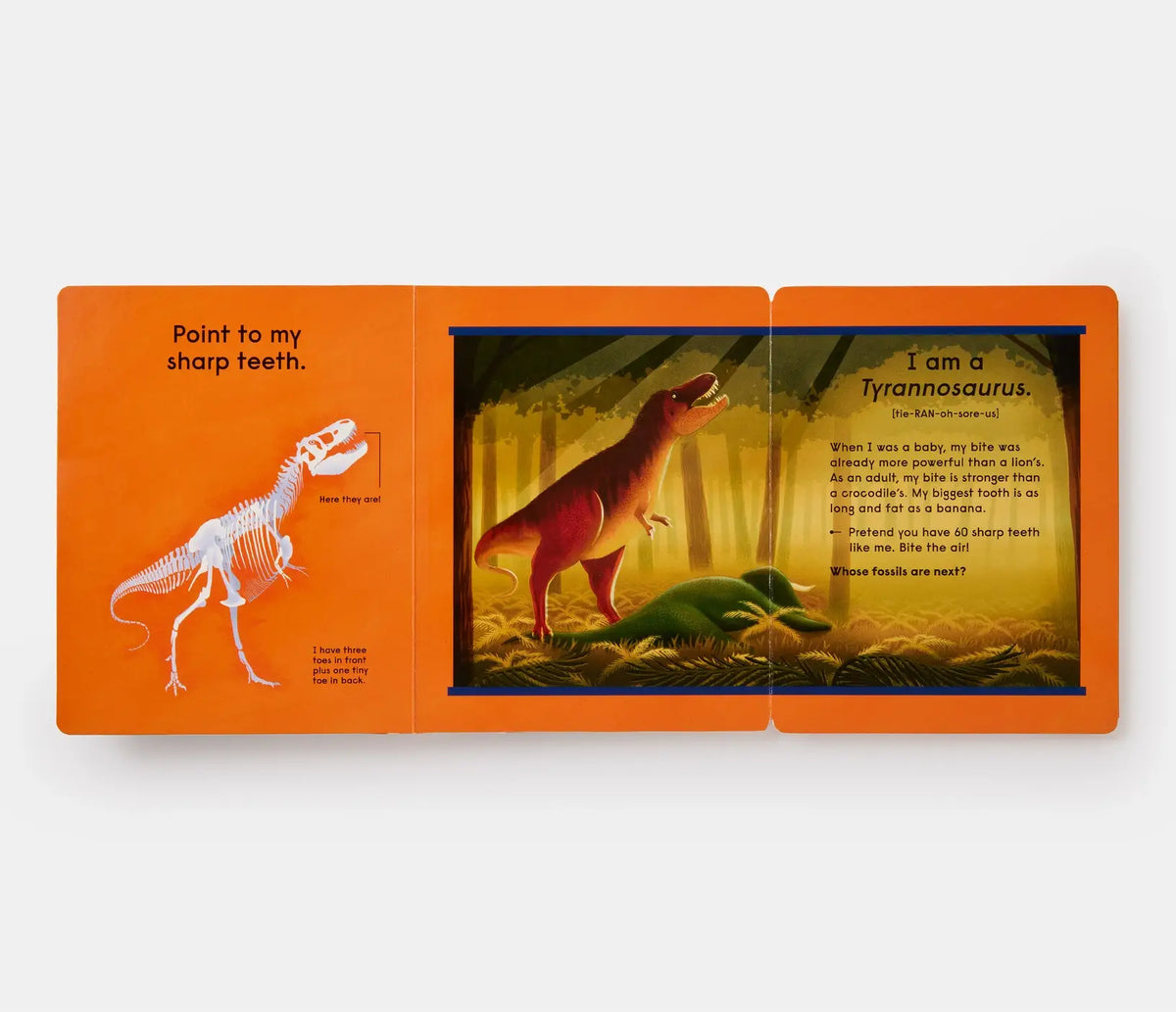Who's That Dinosaur? Board Book