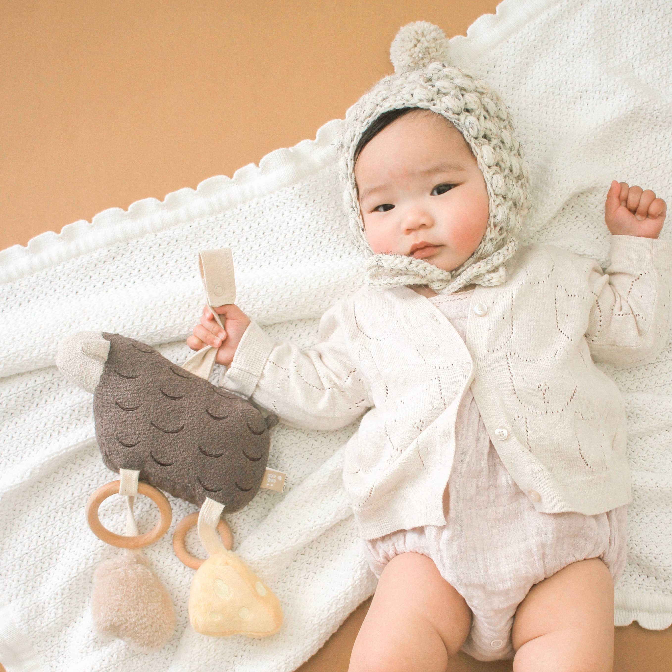 Baa Baa Hanging Toy