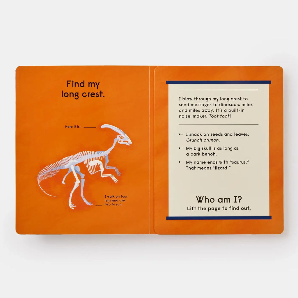 Who's That Dinosaur? Board Book