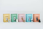 Little Felted Friends: Labrador Retriever Needle-Felting Kit