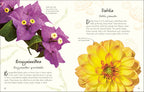 An Anthology of Flowers