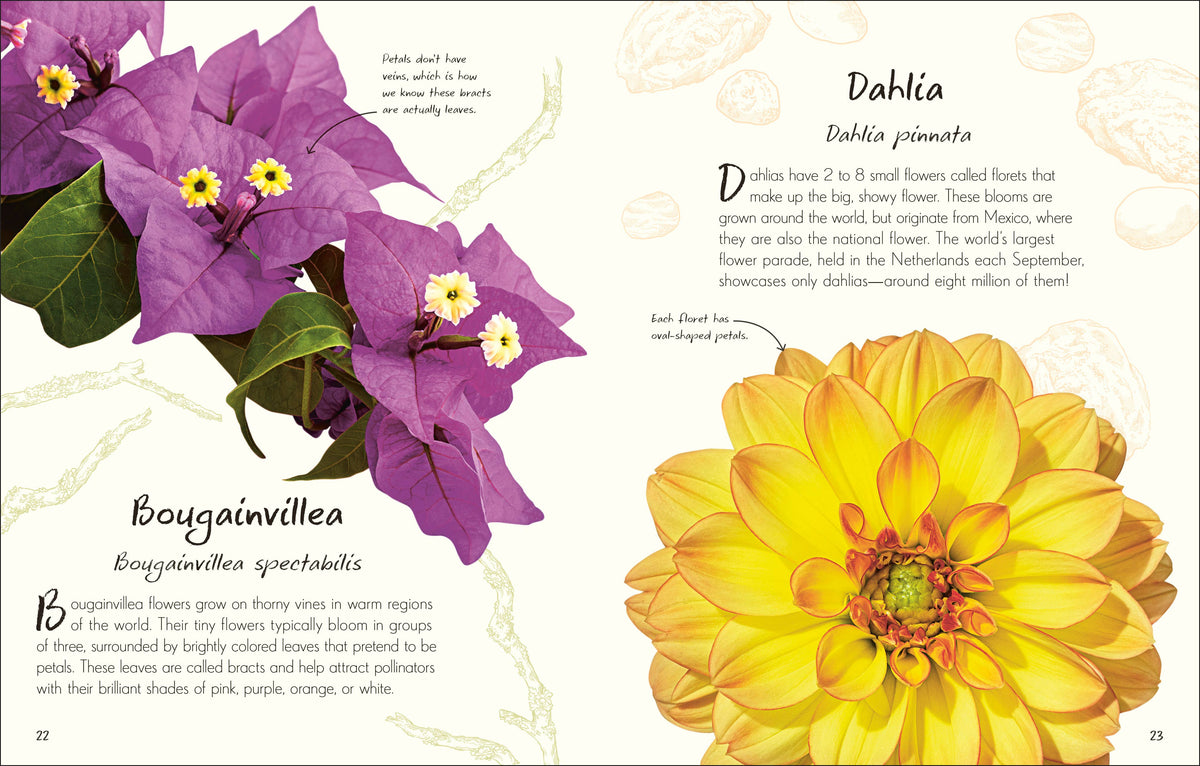 An Anthology of Flowers