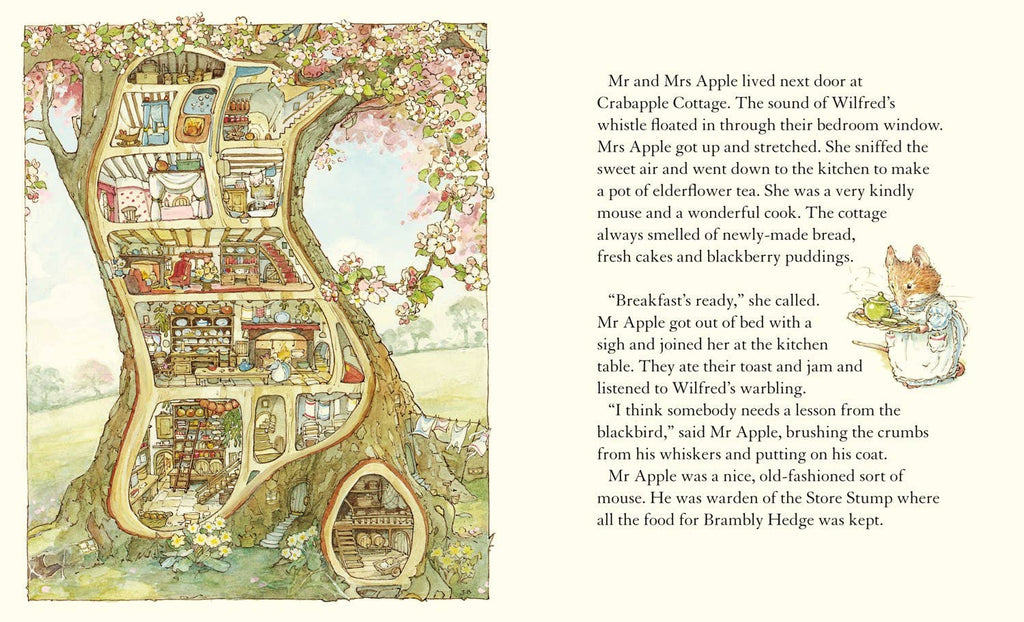 Brambly Hedge: Spring Story