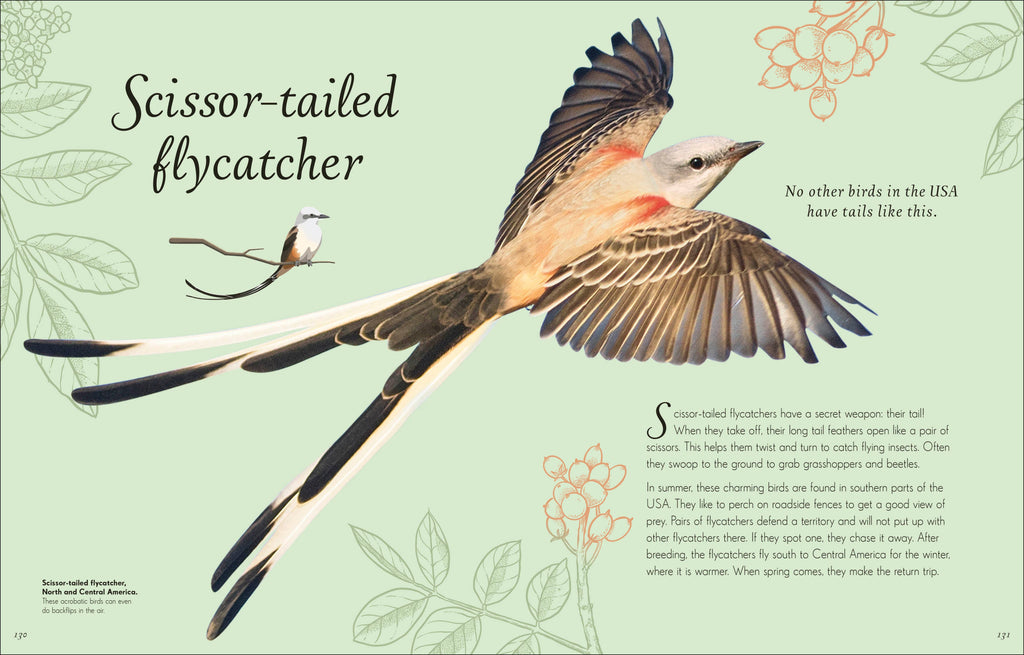 An Anthology of Birds