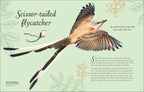 An Anthology of Birds