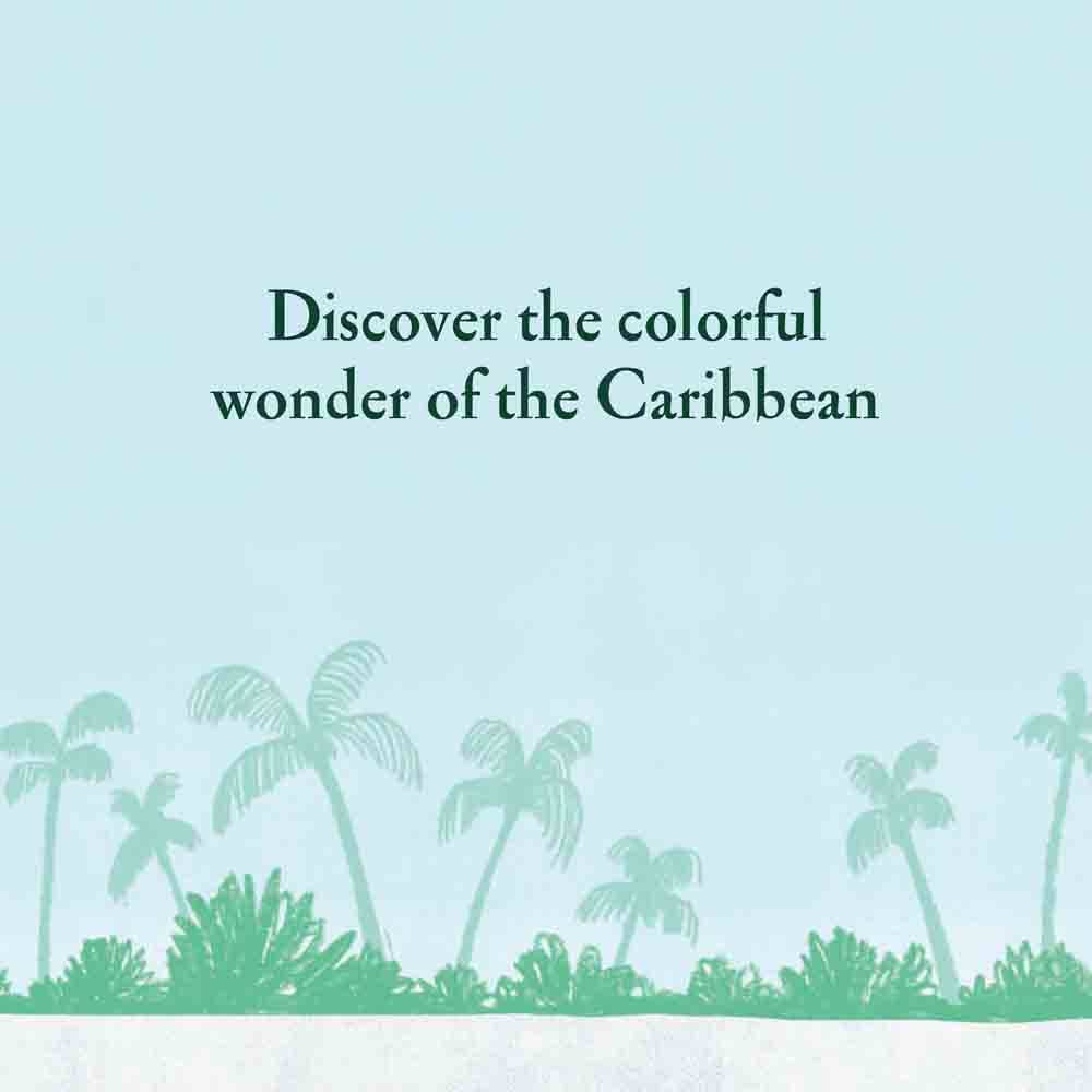 Over and Under the Coral Reef