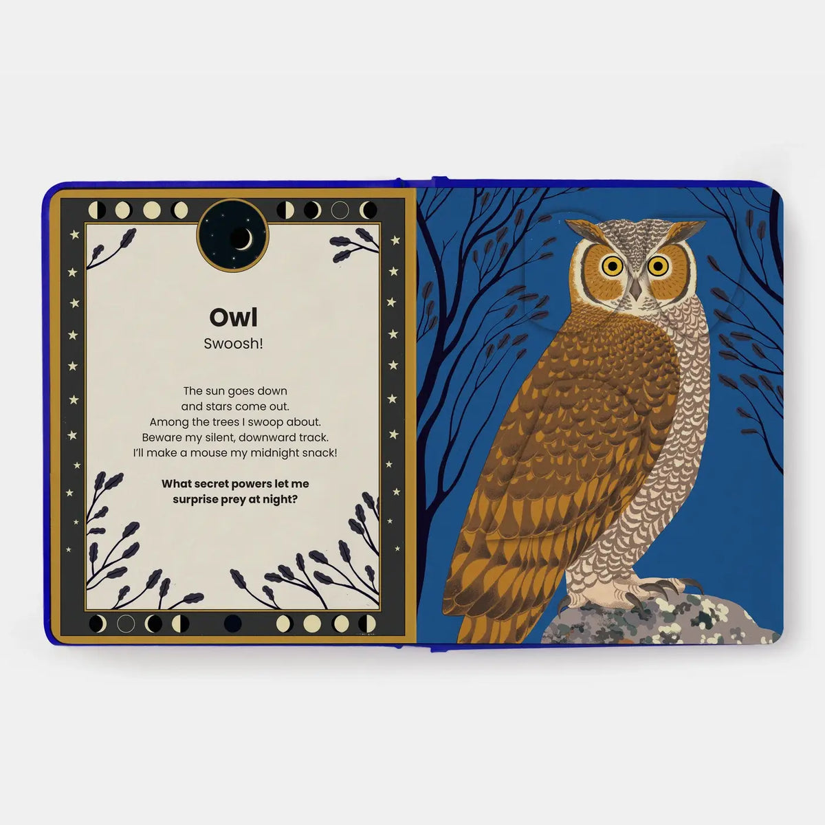 The Secret Powers Of Animals Board Book