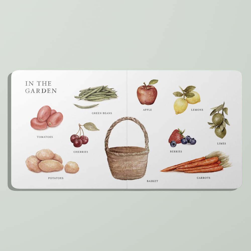 Our Big Book of Words Board Book