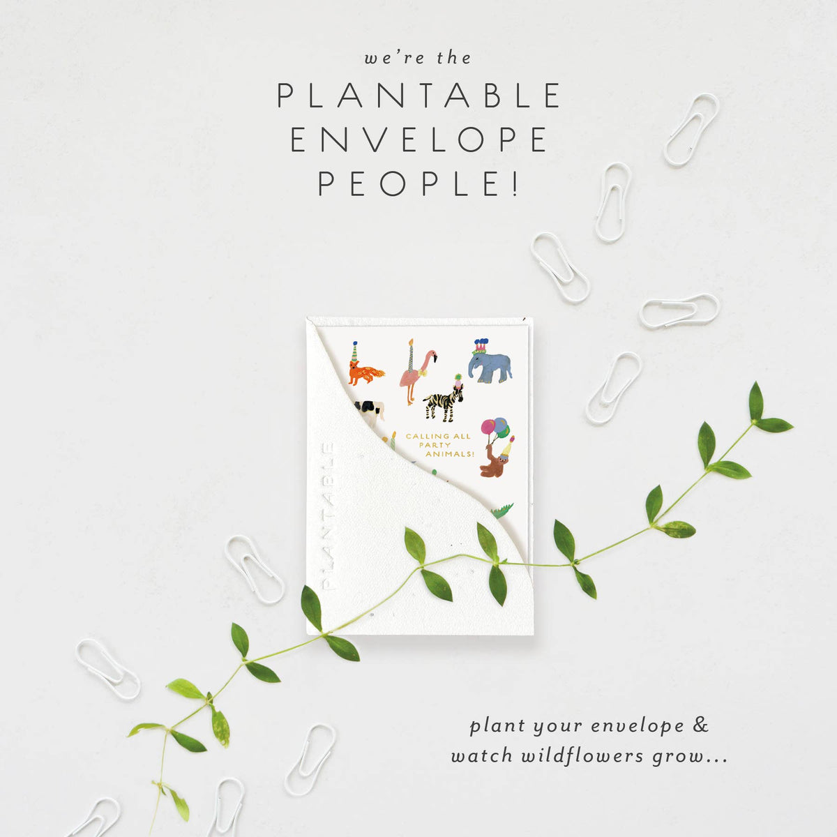 Animal Party Mini Greeting Card