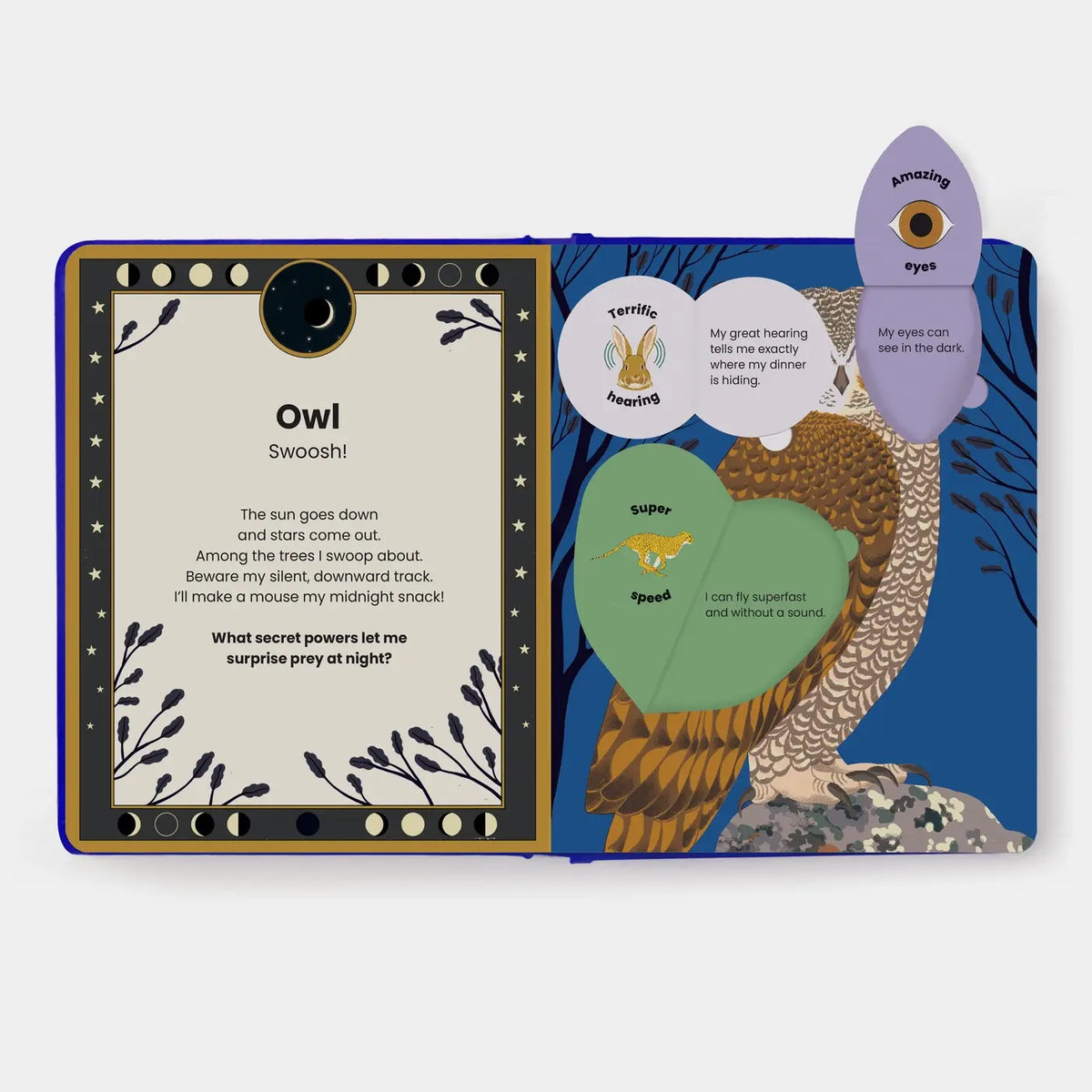 The Secret Powers Of Animals Board Book