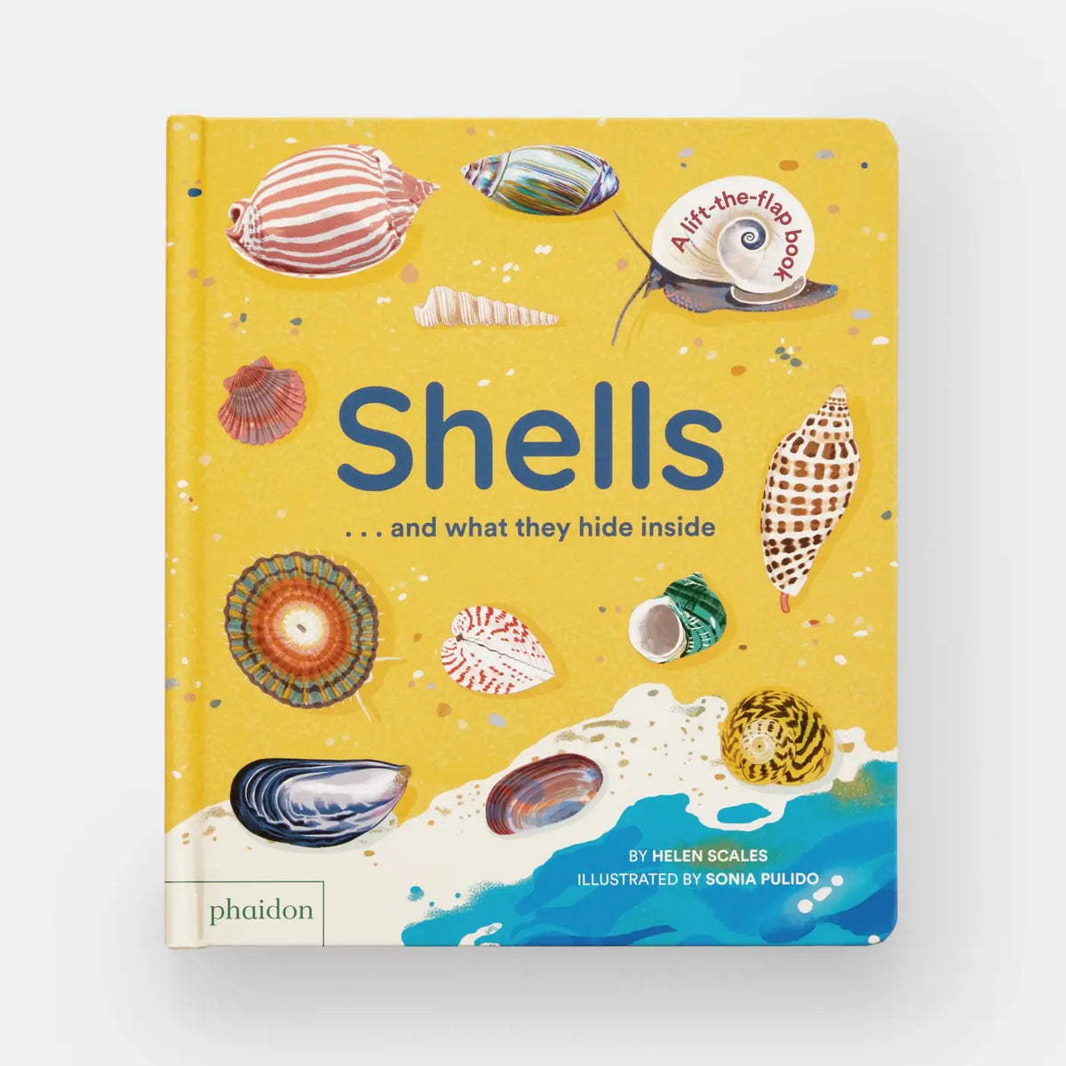 Shells... And What They Hide Inside