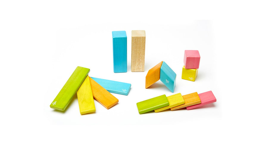 14 Piece Magnetic Wooden Block Set - Tints