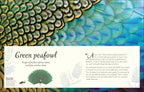 An Anthology of Birds