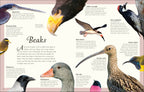 An Anthology of Birds