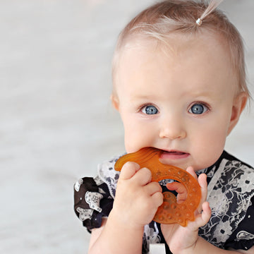 Natural Rubber Teether Fish