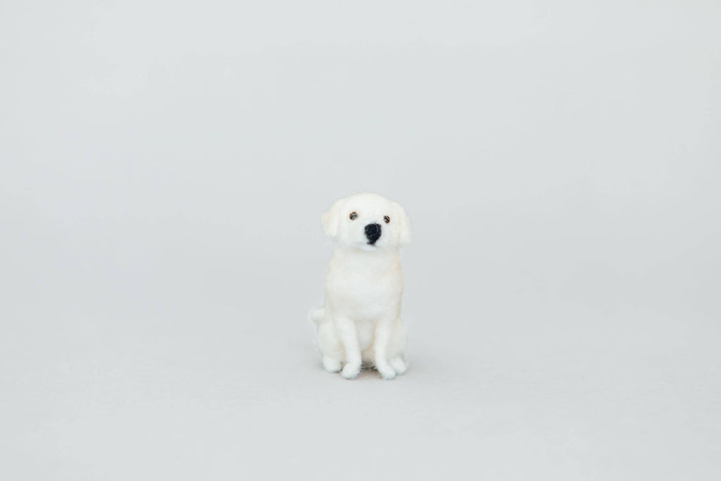 Little Felted Friends: Labrador Retriever Needle-Felting Kit