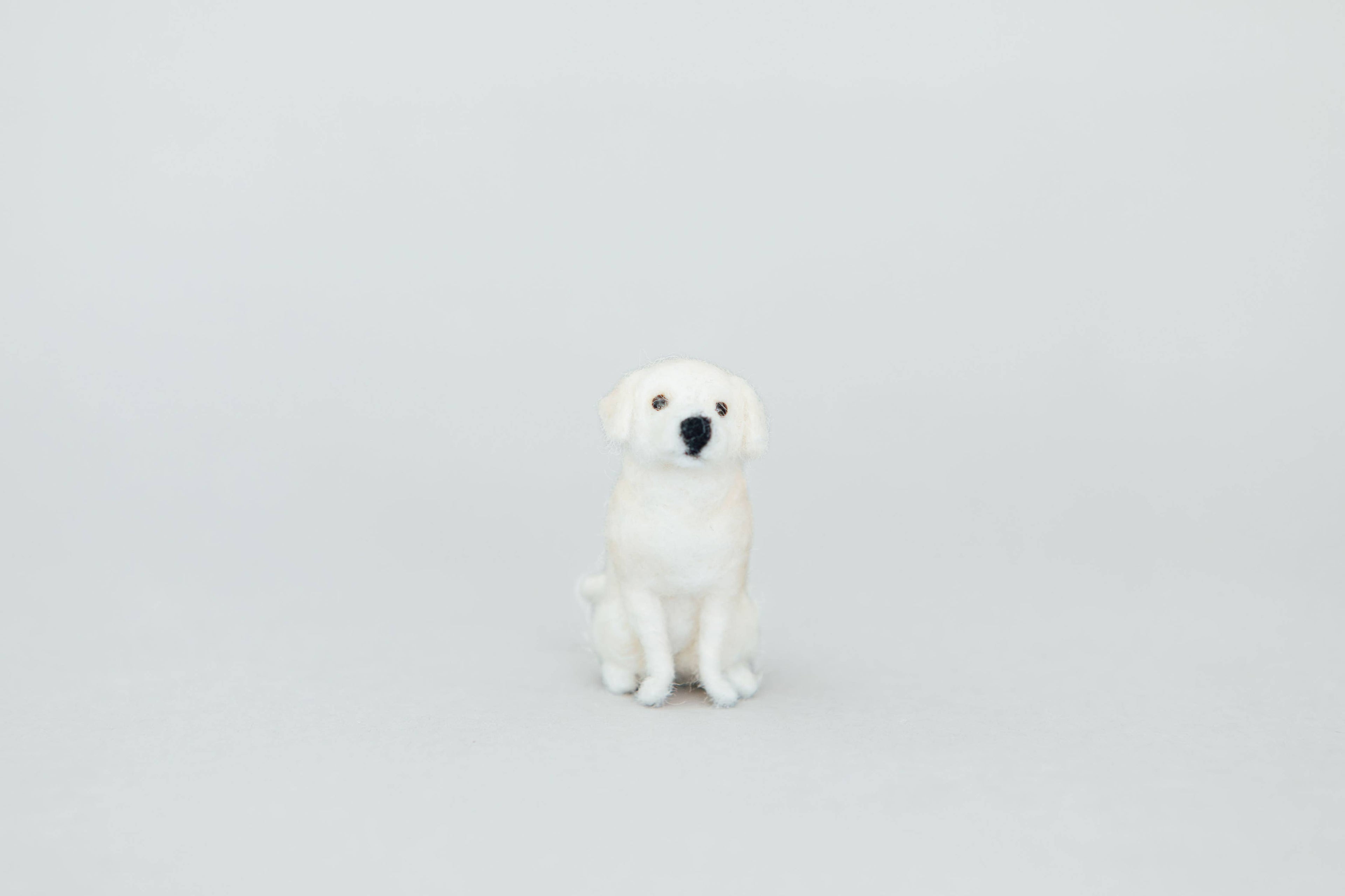 Little Felted Friends: Labrador Retriever Needle-Felting Kit