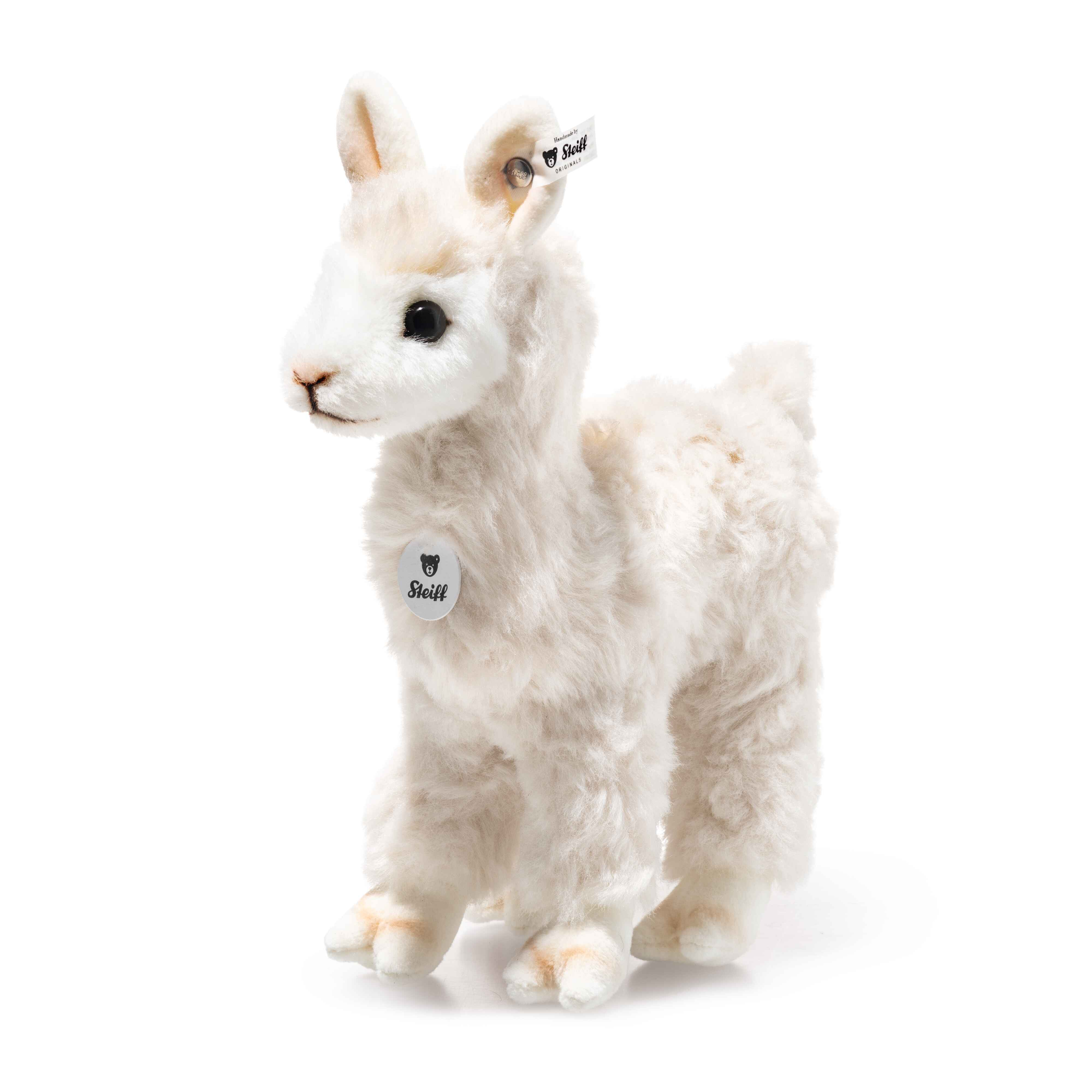 Cozy Alpaca