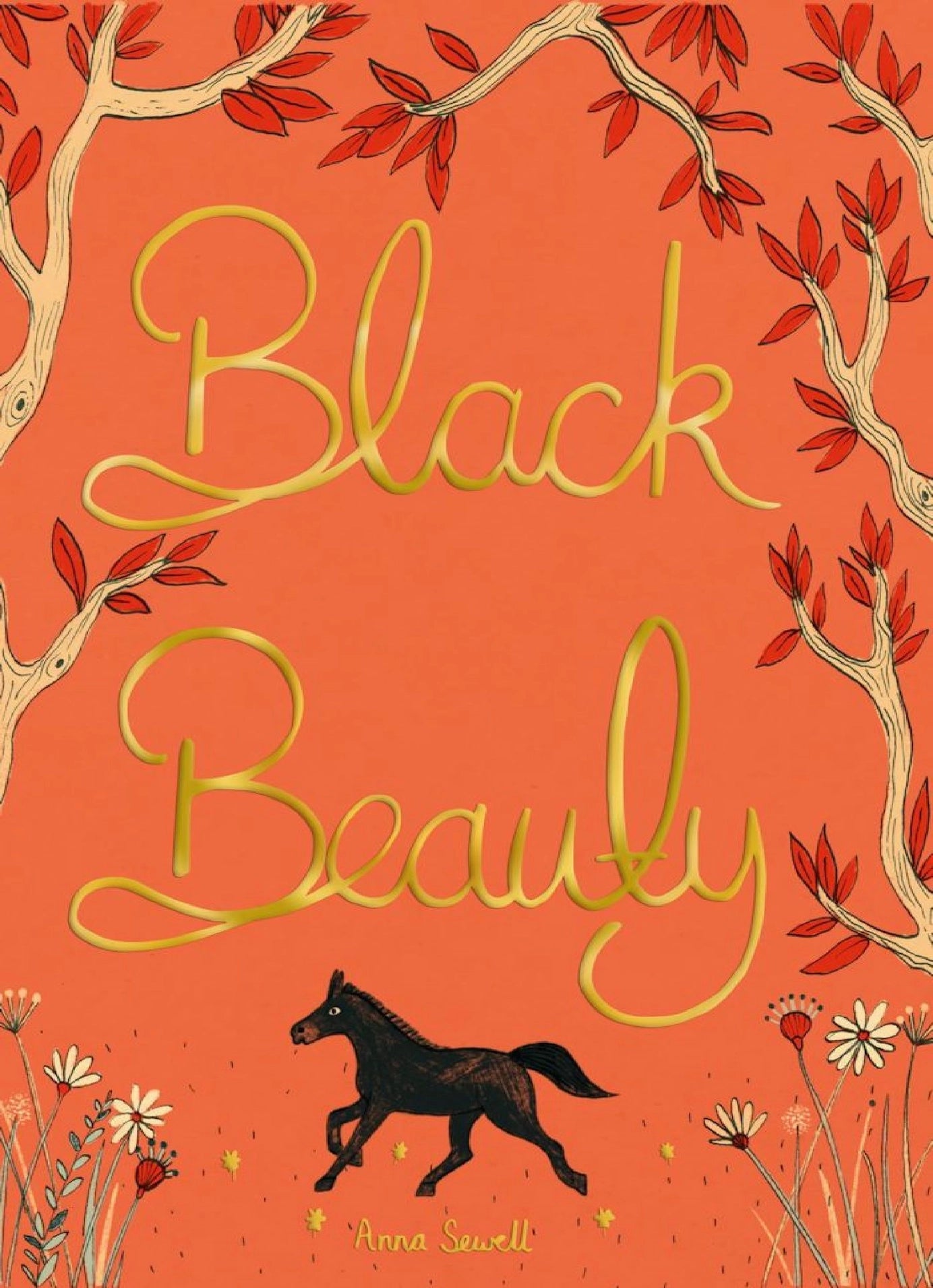 Collector's Edition Black Beauty