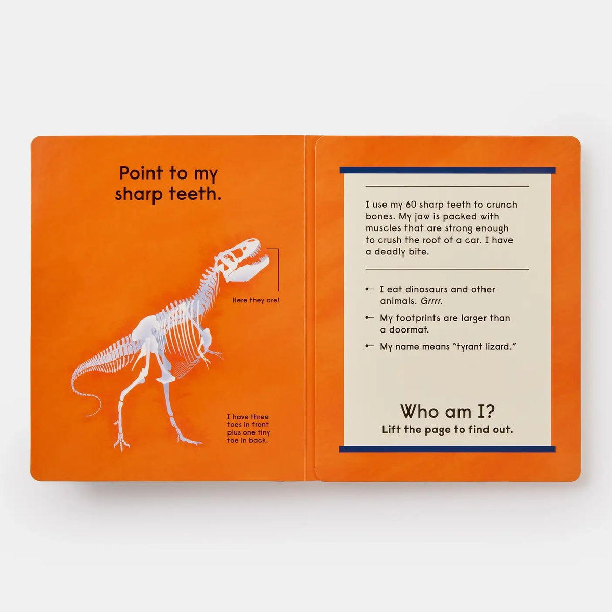Who's That Dinosaur? Board Book