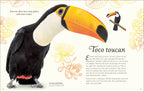 An Anthology of Birds