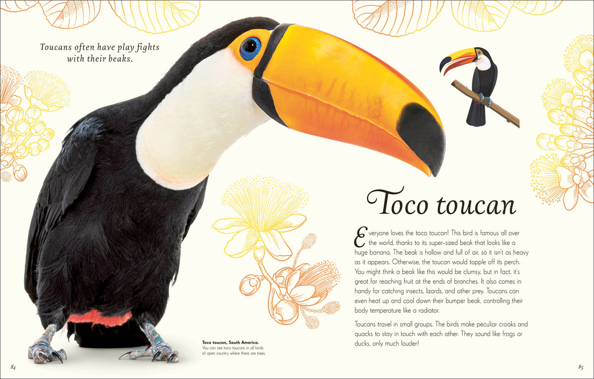 An Anthology of Birds