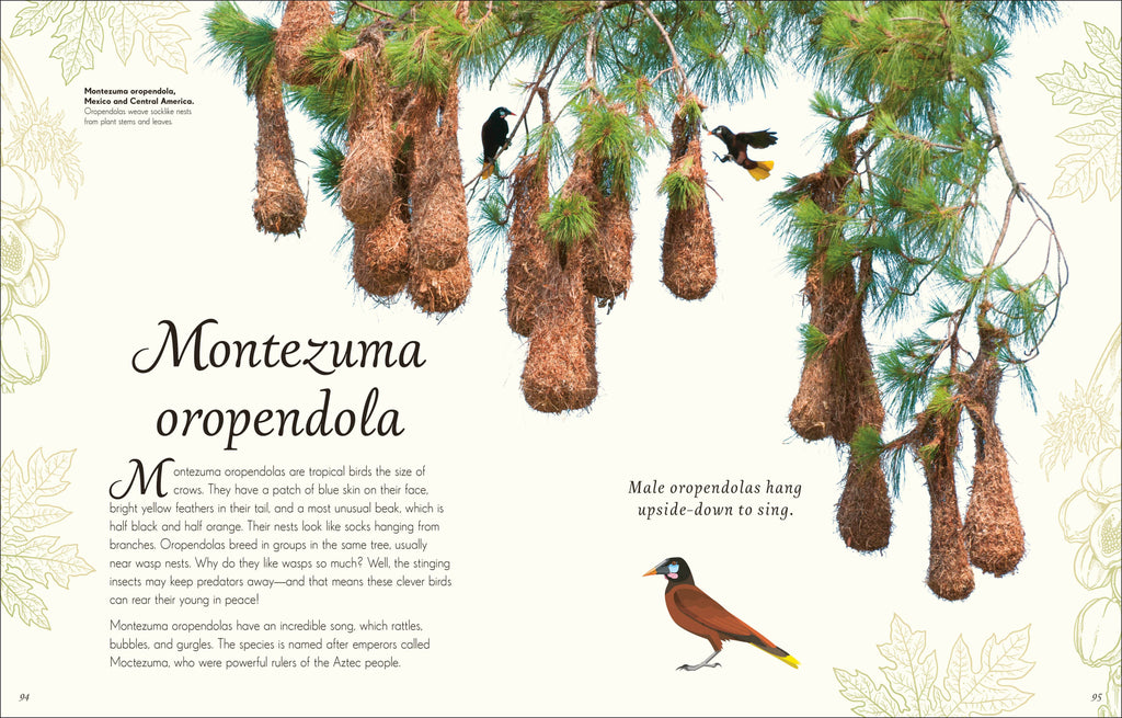 An Anthology of Birds